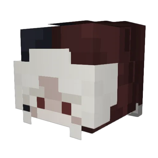 Sir_Stitches Minecraft avatar head, 3D render