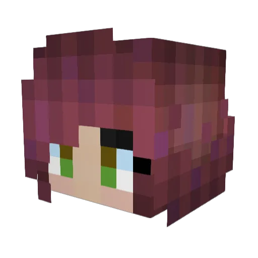 Sir_Sunlight Minecraft avatar head, 3D render