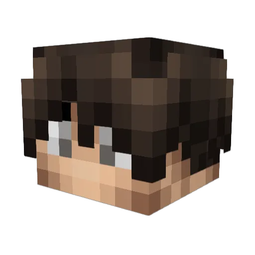 Sir_Tidus Minecraft avatar head, 3D render