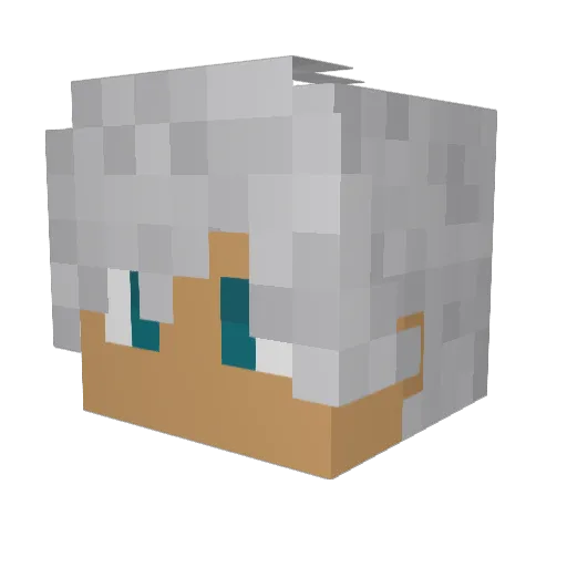 Sir_Wintry Minecraft avatar head, 3D render
