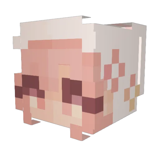 SirahTequila Minecraft avatar head, 3D render