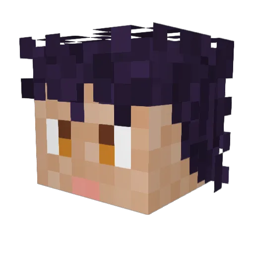 Siral691 Minecraft avatar head, 3D render