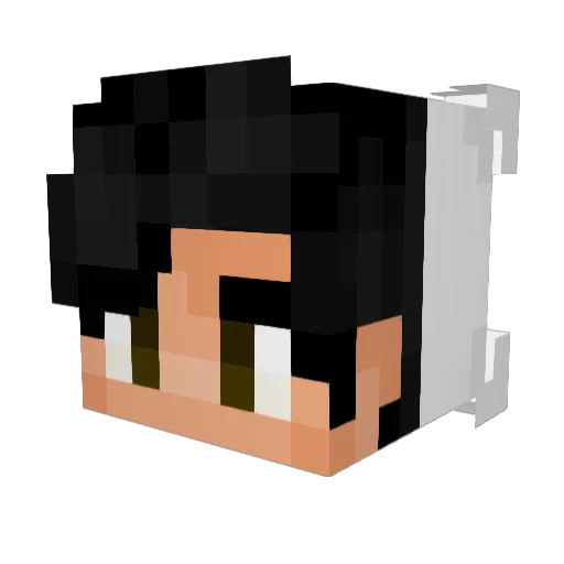 Sirbalakes Minecraft avatar head, 3D render