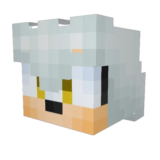 Sirdevs19 Minecraft avatar head, 3D render