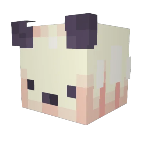 SireYeon Minecraft avatar head, 3D render