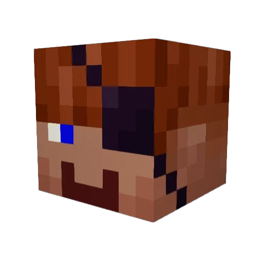 Sirherobrine23 Minecraft avatar head, 3D render