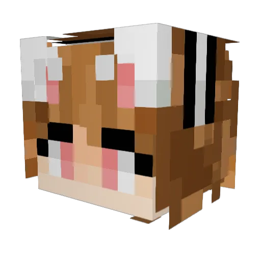 SiriEHansen Minecraft avatar head, 3D render