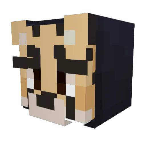 Sirius_Mur Minecraft avatar head, 3D render