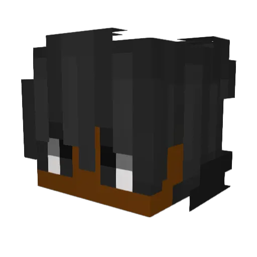 Sirjet Minecraft avatar head, 3D render