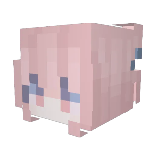 Sirokasu Minecraft avatar head, 3D render