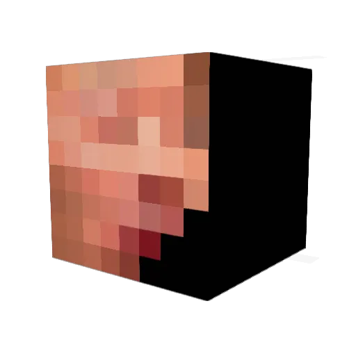 SiroxBorgar Minecraft avatar head, 3D render
