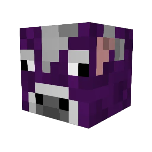 SirrNugget Minecraft avatar head, 3D render