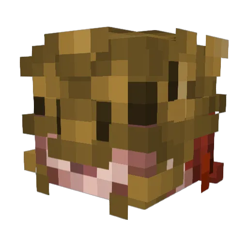 Sirus_69 Minecraft avatar head, 3D render