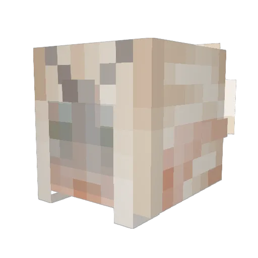 Sirxae Minecraft avatar head, 3D render