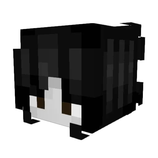 SisRex Minecraft avatar head, 3D render