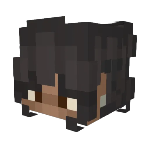 Minecraft-Avatar von Sisaanissa: Kopf als 3D-Render