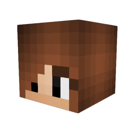 Sisberg4712 Minecraft avatar head, 3D render