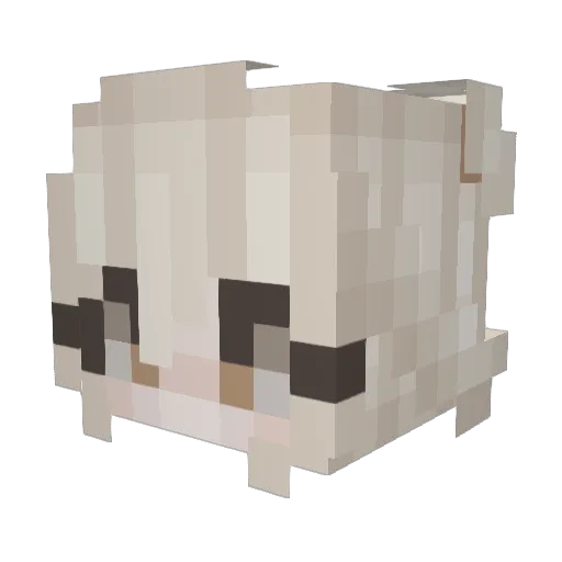 Sish Minecraft avatar head, 3D render