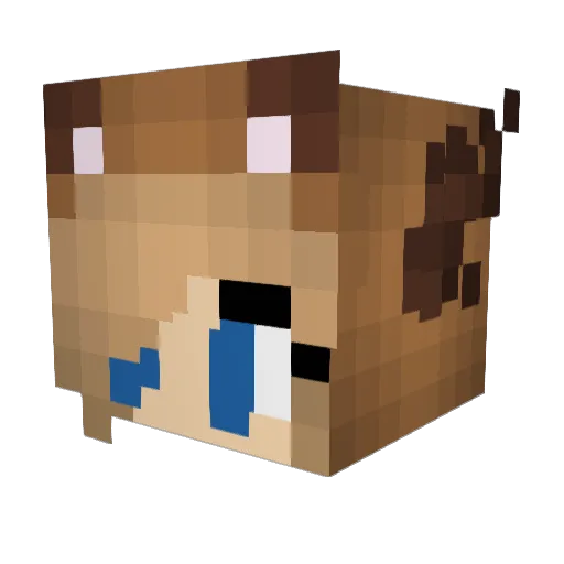 Sisilja_jento Minecraft avatar head, 3D render
