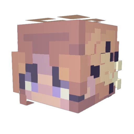 Siskie79 Minecraft avatar head, 3D render