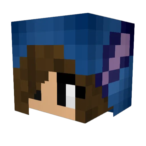 Siss25 Minecraft avatar head, 3D render