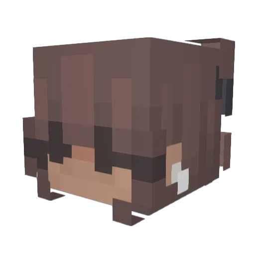 Sisseladasilva Minecraft avatar head, 3D render
