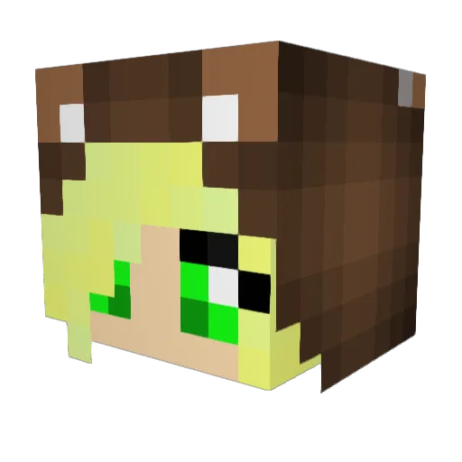 Site Minecraft avatar head, 3D render