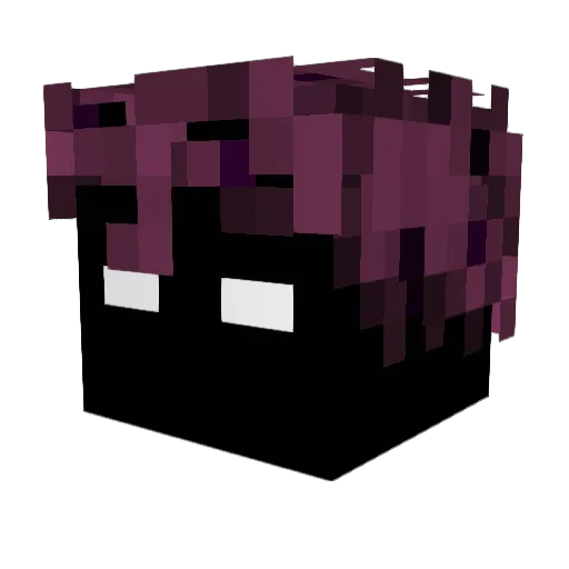 SithAkatsuki Minecraft avatar head, 3D render