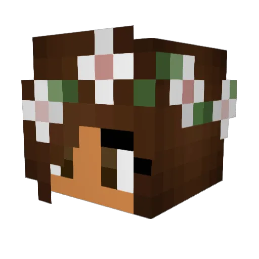 SithCraft86 Minecraft avatar head, 3D render