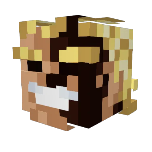 Sitko_ Minecraft avatar head, 3D render