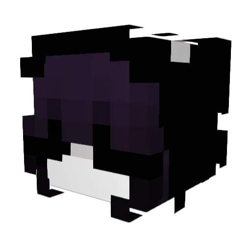 Sittq Minecraft avatar head, 3D render