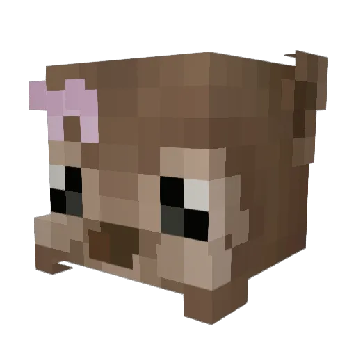 Siuri Minecraft avatar head, 3D render