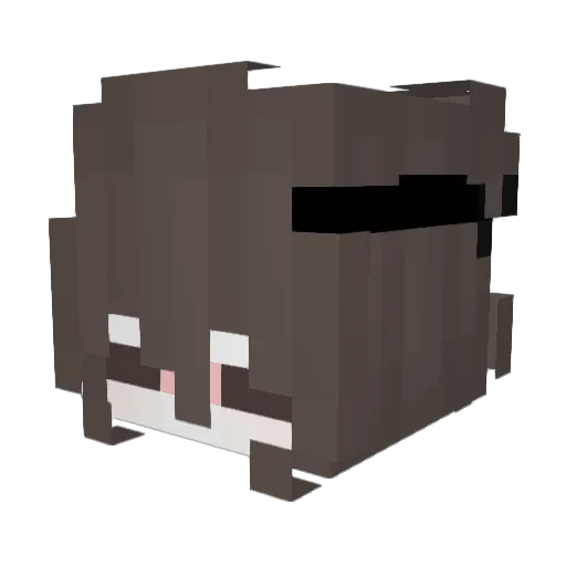 Sivir_ Minecraft avatar head, 3D render