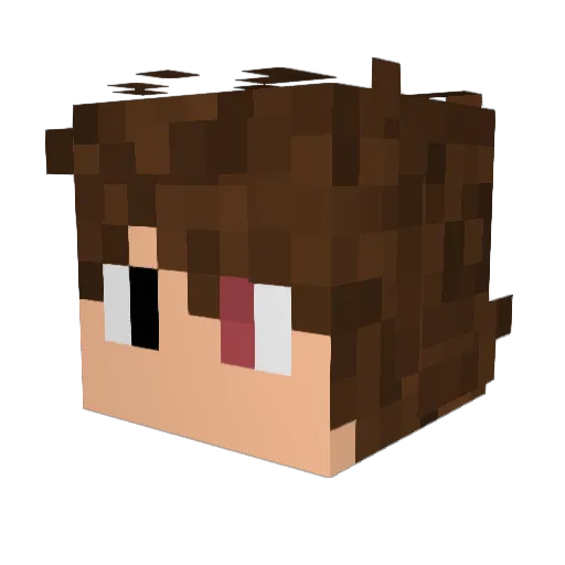 Siwek613 Minecraft avatar head, 3D render