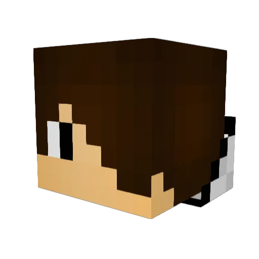 Siwon917 Minecraft avatar head, 3D render