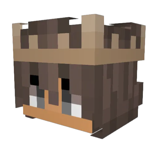 Sixabriel Minecraft avatar head, 3D render
