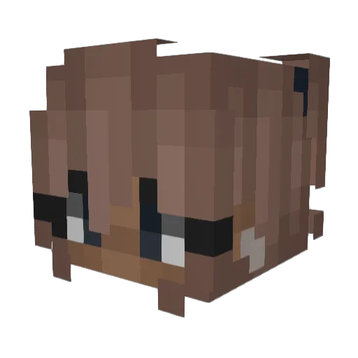 Sixnnaa Minecraft avatar head, 3D render