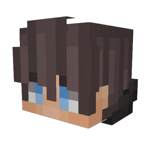 Sixquid Minecraft avatar head, 3D render