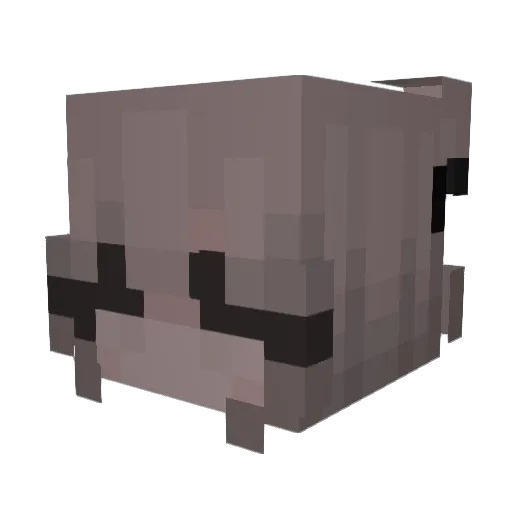 SixrraMist Minecraft avatar head, 3D render