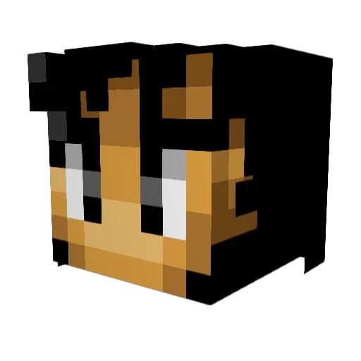 Sixstringer9 Minecraft avatar head, 3D render
