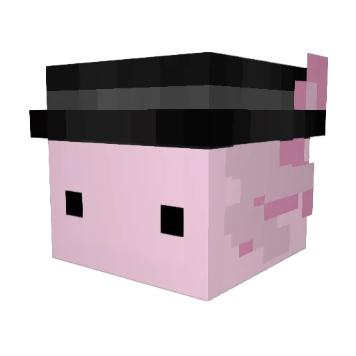 SixxtMCpvp Minecraft avatar head, 3D render