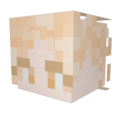 Siyan27 Minecraft avatar head, 3D render