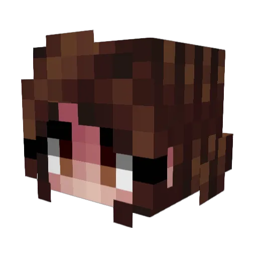 Siye29 Minecraft avatar head, 3D render