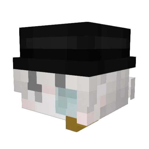 SizzlingMC Minecraft avatar head, 3D render