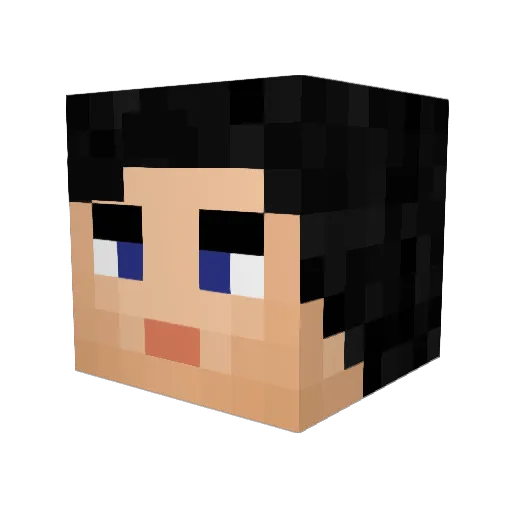 SjKp21 Minecraft avatar head, 3D render