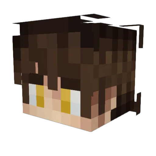 SjanDeMan Minecraft avatar head, 3D render