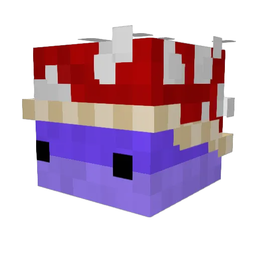 Sjedydyin Minecraft avatar head, 3D render