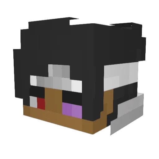 Sjking48 Minecraft avatar head, 3D render