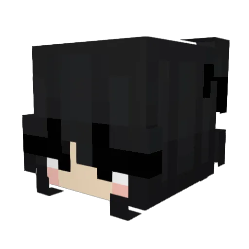 Sjn1219 Minecraft avatar head, 3D render