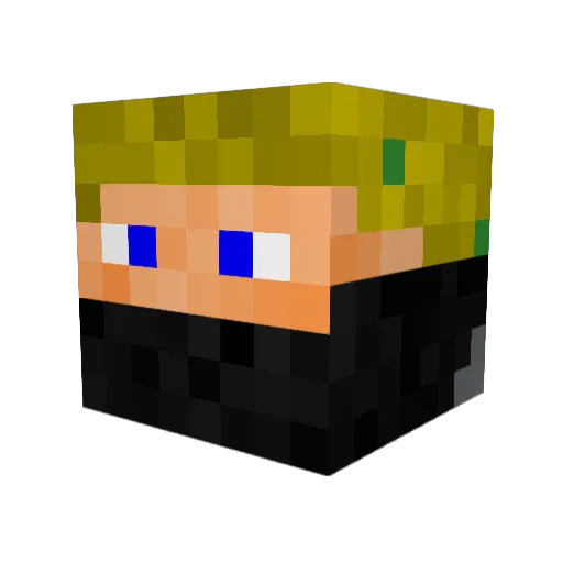 SjoerdTheKing14 Minecraft avatar head, 3D render